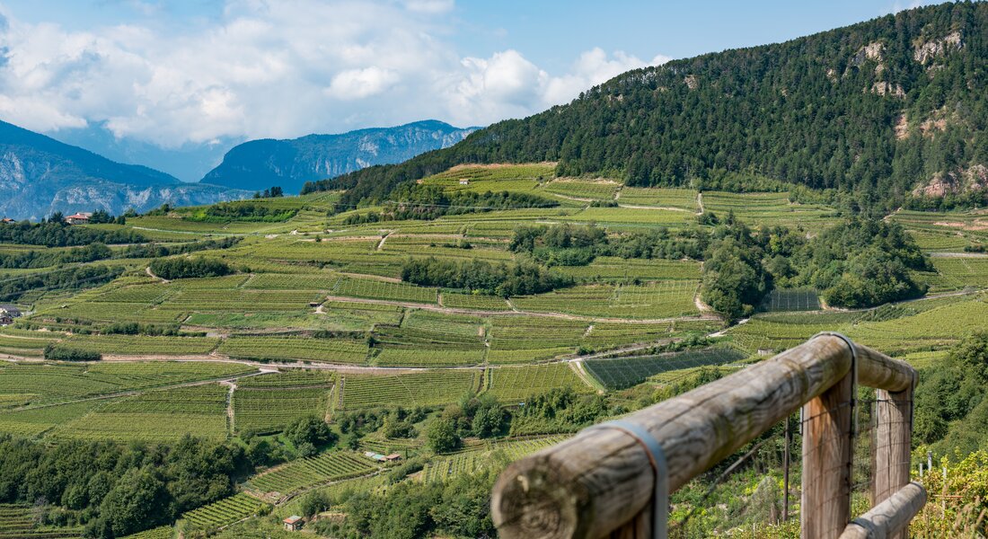 benvenuto-in-val-di-cembra-trentino-fiemme